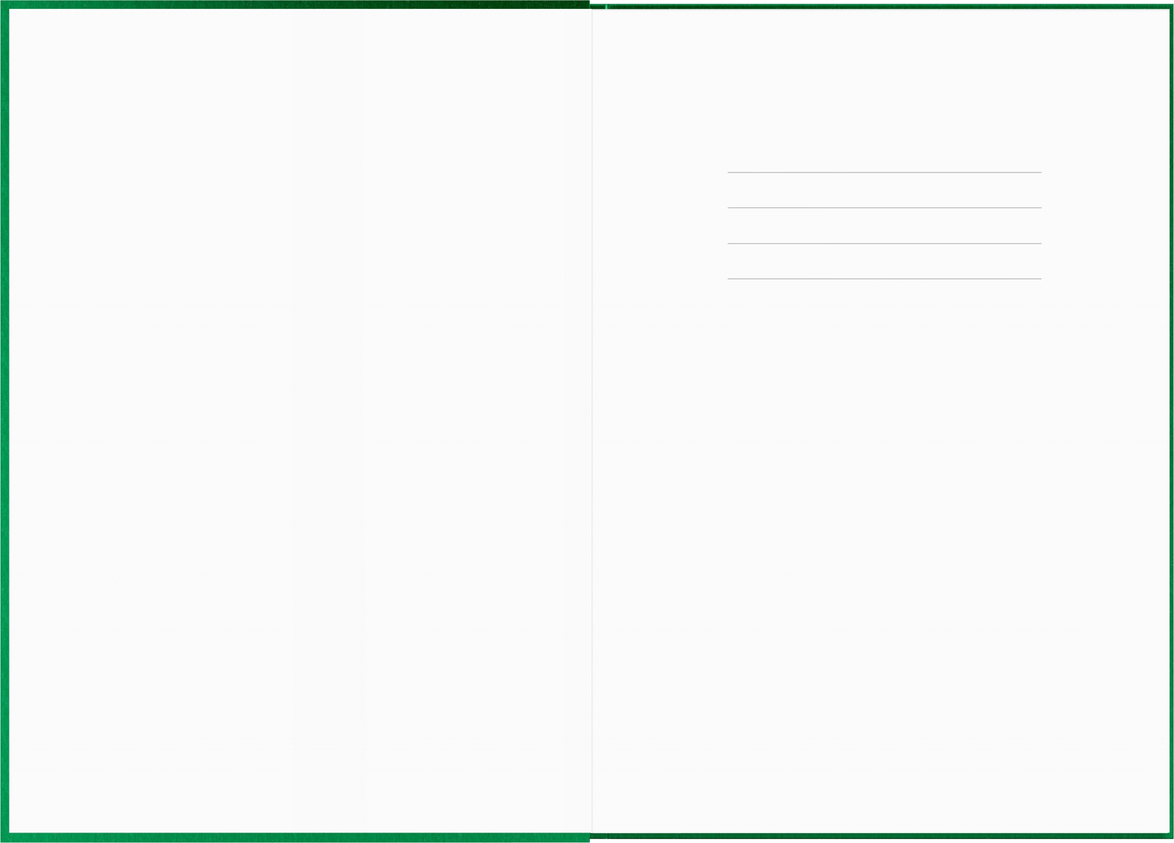 Caran D Ache Romania