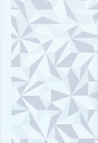 Caiet A5 Carandache SE Alpine Frost